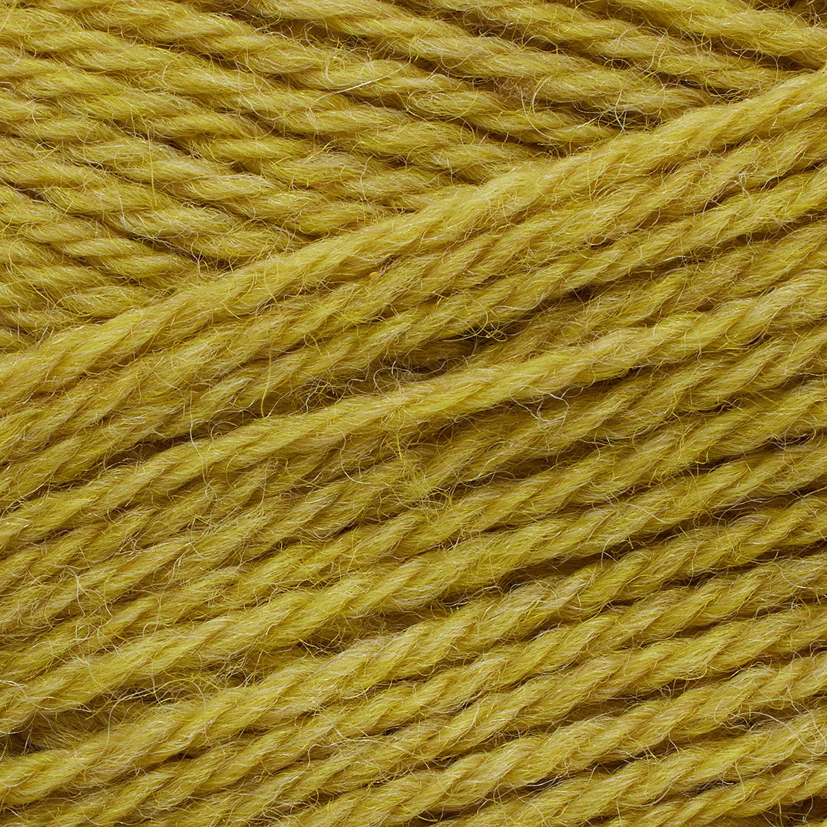 Pernilla acacia [825]