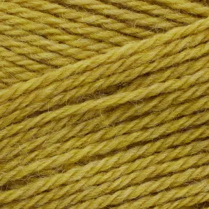 Pernilla acacia [825]